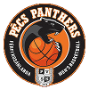 https://img.bricsx.com/img/basketball/team/910780fe6318e85fae4659d07270bc25.png