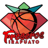 https://img.bricsx.com/img/basketball/team/dd535e8bb7853234c53ea80e2cff9715.png