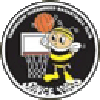 https://img.bricsx.com/img/basketball/team/e416830f4083698237c559f8988ddb25.png