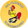 https://img.bricsx.com/img/football/team/63b0933cc303927659846a4ed54b1522.png